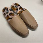 Zac Posen  Shoe Winfield Faux Fur Shearling Mule Dune Nappa Leather Flat 8 NIB Photo 1