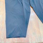 Summersalt  Black On-the-Go Pants Size 22 Photo 1