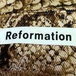 Reformation Brown Snakeskin Snake Animal Print Mini Straight Pencil Skirt Size 8 Photo 3