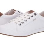 Taos Star Burst Canvas Lace Photo 0