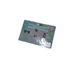 Disney Minnie Mouse Main Jungle Cruise Pins Photo 1