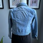 Tractr Jean Jacket Cropped Denim Size Medium Light Blue Wash Blue Photo 10
