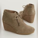 Buckle TOMS Desert Shoe Photo 0