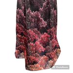 Adrianna Papell  Women's Black Ombre Graphics Maxi Dress Gown Size 4 Photo 1