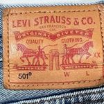 Levi's  501 Wild Dreaming Cut Off Denim Shorts Photo 10