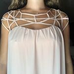 Naked Zebra Dress Photo 2