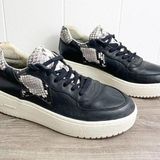 Ash Fool Snake Print Platform Sneakers Photo 0