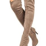 breckelle's  thigh high stiletto boots Photo 0