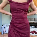 Alex Evenings Burgundy Prom / Formal Dress Photo 0