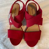 American Eagle  Wedge Heels Photo 0