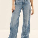 American Eagle low rise baggy wide leg skater jeans size 4 short Photo 0