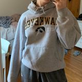 Iowa Hawkeyes Hoodie Gray Photo 0