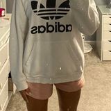 Adidas Hoodie / Sweat Shirt Photo 0