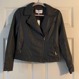 Cupcakes and Cashmere Leather Jacket Photo 0