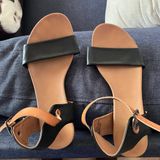 Zigi Soho Sanders Photo 0