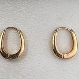 Small Oval Gold Hoop Earrings for Women Photo 0