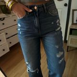 Vervet Flying Monkey Jeans Photo 0