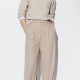 Uniqlo Pants Photo 0