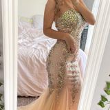 Tiffany Designs Champagne Sequins Dress Photo 0