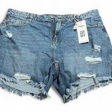 Vanilla Star Jeans Vanilla Star Blue Distressed Jean Shorts Photo 0
