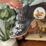 FREEBIRD by Steven  Photo 0