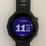 Garmin Forerunner 55 Black Photo 0