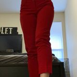 The Limited Red Dress Pants Photo 0