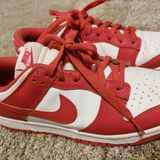 Nike Archeo Pink Dunk Lows Photo 0