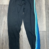 Aviator Nation Sweatpants / Joggers Photo 0