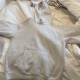 Aritzia  Hoodie Photo 0