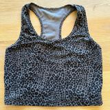 Evolution and creation  Tank Workout Cheetah Photo 0
