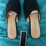 Charles Albert  slides Photo 0