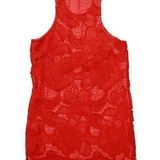 Lovers + Friends Sleeveless Red Lace Caspian Mini Dress REVOLVE size Small Photo 0