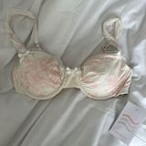 Dippin' Daisy's  Bikini Top Photo 0