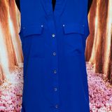 Premise Studio Women’s Blue Sleeveless Chiffon Blouse Sz M Photo 0