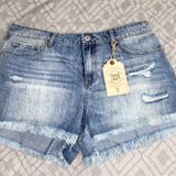 True Craft Jean Shorts Photo 0