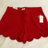 Crown & Ivy Shorts Photo 0