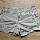 Caslon Khaki Chino Shorts Photo 0