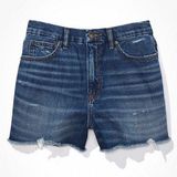 American Eagle Curvy High Waisted Shorts Photo 0