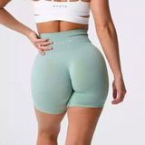 NVGTN NWT XS Sage Green Pro Shorts Photo 0