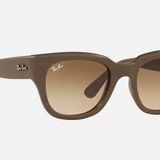 Ray-Ban RB4178 Matte Tortoise Sunglasses Photo 0