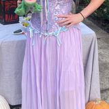 Disney Tangled Rapunzel Costume Photo 0