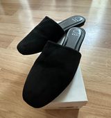 A New Day Mules Photo 0