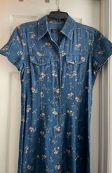 CRAZY HORSE Denim Dress Photo 0