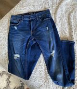 Hollister Jean Photo 0