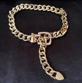 Gold Fashion Chain Necklace/Choker  Photo 0