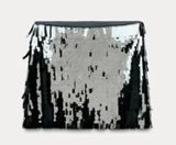 Zara Silver Sequin Paillette Skirt Photo 0