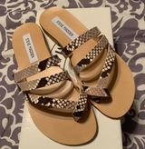 Steve Madden Ringtone Sandals Photo 0