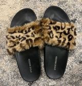Steve Madden Cheetah Slides Photo 0