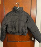 Amazon puffer Photo 0